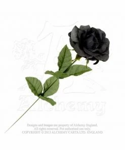 Kate's Clothing Ladies Alchemy Gothic Imitation Black Rose