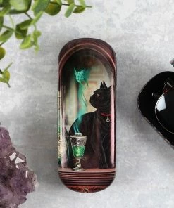 Gothic Gifts Absinthe Glasses Case