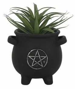 Gothic Gifts Pentacle Cauldron Plant Pot Homeware