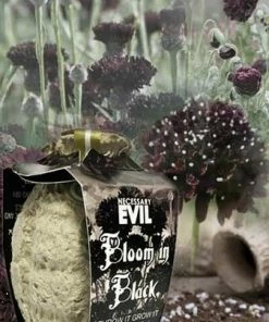 Necessary Evil Kabloom Bloom In Black Seedbom Homeware
