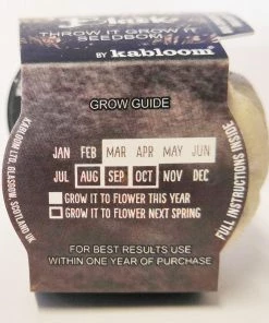 Necessary Evil Kabloom Bloom In Black Seedbom Homeware