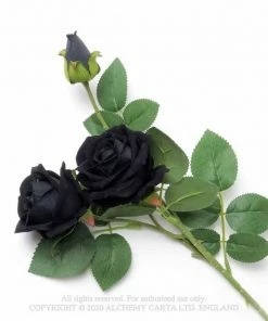 Alchemy Gothic Imitation Black Rose Spray Homeware