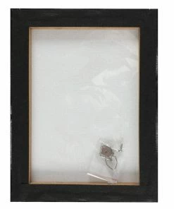 Homeware Gothic Gifts Poe's Raven Canvas By Alchemy